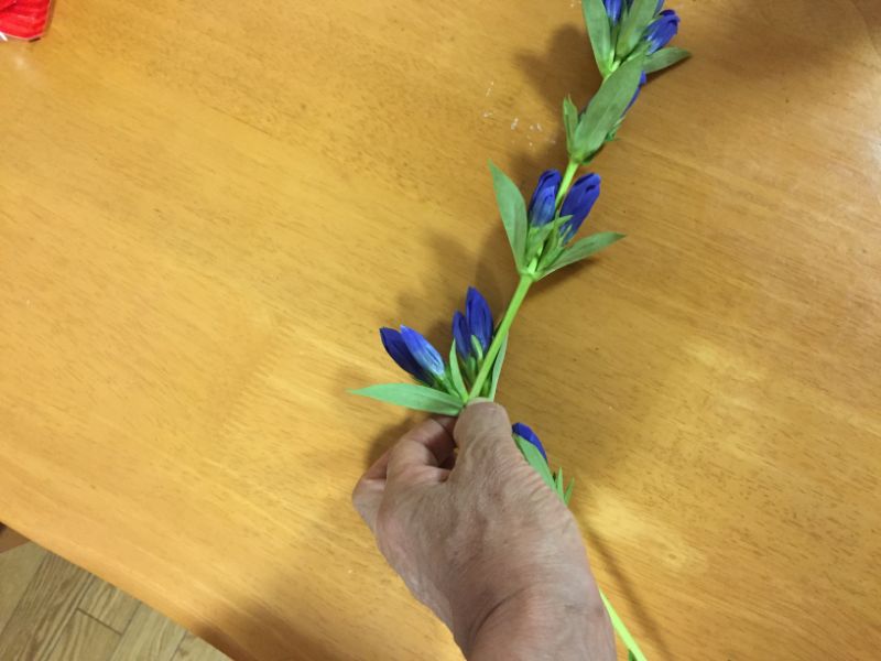 リンドウの切り花を2つに切り分ける
