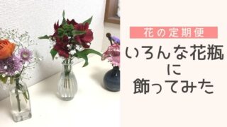 花の定期便３週目♪100均の花瓶や空き瓶がピッタリ