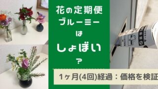 ブルーミー(花の定期便)：しょぼいという口コミは本当か？