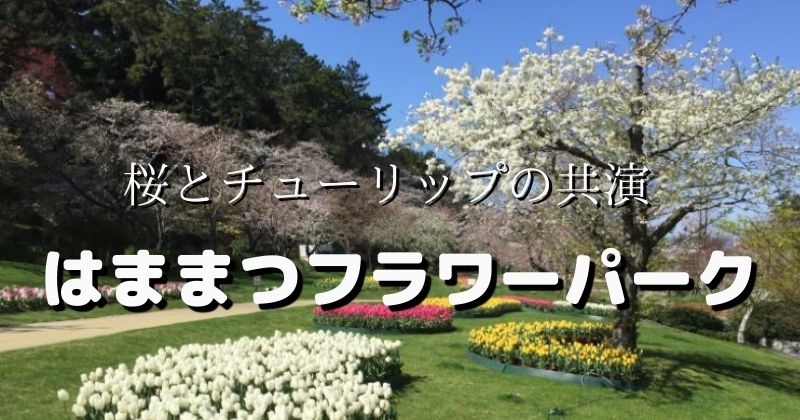 【はままつフラワーパーク】桜だけではない！春の花たちが咲く2021年3月の花散歩