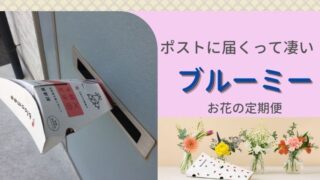 ポストに届く【花の定期便】ブルーミー：5回目のお花は春らしい色合いで癒やされてます♪