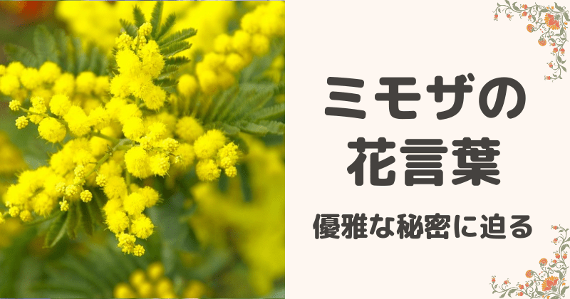 春の訪れを告げる鮮やかyellowミモザブーケ&ブートニア① ウェディング  