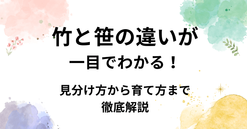 竹と笹の違いが一目でわかる!見分け方から育て方まで植物のプロが徹底解説 – 花みっけ♪